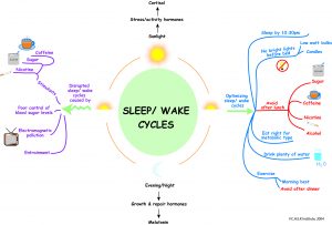 sleep-wake-cycle